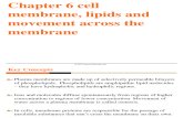 Chapter 6 Cell Membrane and Movement Across the Membrane