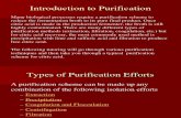 Purification Tutorial 2004