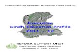 Executive Sindh Education Profile 2011-12