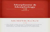 Morpheme & Morphology