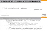 13~Chapter 13. Scripting Languages