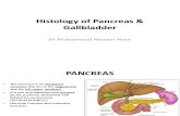 Histo - Pancreas & Gallbladder