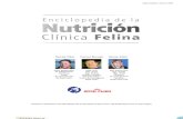 Nutricion Cllinica en Gatos