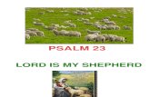 Psalm 23 Class 1