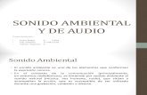 Sonido ambiental y audio