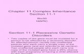 Chapter 11 -1Complex Inheritance.ppt