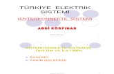 Turkiye Elektrik Sistemi 2008 Haziran