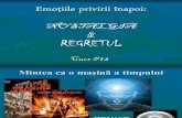 Prezentare Curs 12 - Nostalgia & Regretul [v-2012]