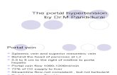 The Portal Hypertension1