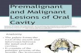 Premalignant Malignant Lesions of Oral Cavity