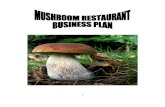 Marish Mushroom