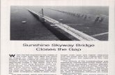 Sunshine Skyway Bridge Analysis