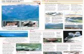 Wildlife Fact File - World Habitats - Pgs. 11-20