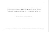 Approximation Methods for Thin Plate  Spline Mappings and Principal Warps