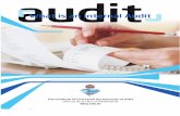 internal audit basics
