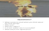 Arab Spring (3)