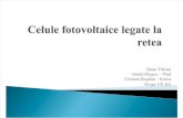Celule Fotovoltaice Legate La Retea