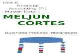 Unit 6-Financial Accounting-Master Data