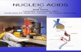 Chap 16 Nucleic Acid