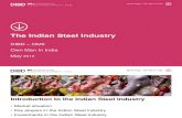 The Indian Steel Industry 2012