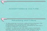 Acs-Advertising & Culture