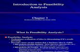 Introduction to Feasibility Analyses