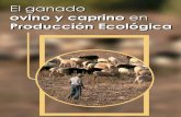 Manual de Produccion Carino Ovina en Produccion Ecologica
