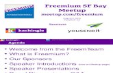 08.09.12 Cynthia Typaldos Introduces Freemium Meetup