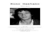 Canzoniere Rino Gaetano
