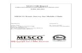 Mesco Report Final Submission