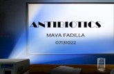 07131022 Maya Fadilla- Antibiotics