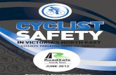 Survey Cyclist Safety Report June 2012