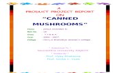cannd mushroom