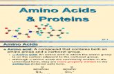 27 Amino Acids, Proteins