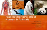 Fascinating Facts About Human & Animals
