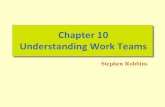 Organizational Behaviour Teams (Robbins)