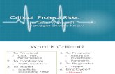 Critical Risks: The Least A Project Manager Should Know