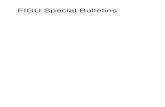 FIGU Special Bulletins