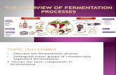 The Overview of Fermentation Processes