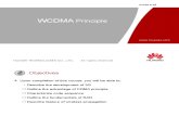 WCDMA Principle-20100208-A-V1[1].0