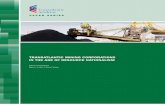 Transatlantic Mining Corporations in the Age of Resource Nationalism