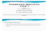 Mk End Slide Diabetes Melitus Tipe 1