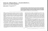 Cytkova Wallendorf Migration Assimilation Consumption