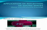 Application of Reflection of Sound Waves