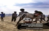 Global Field Consutation on IDP Protection FINAL