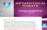 Metaphysical Karate