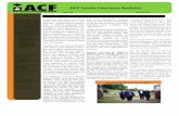 ACF - South Caucasus Newsletter Spring 2012