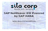 Sita Corp Bw Powered by Sap Hana Webinar