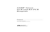 Syber Green Quantitative-PCR