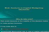 59107462 Risk Analysis in Capital Budgeting Decisions
